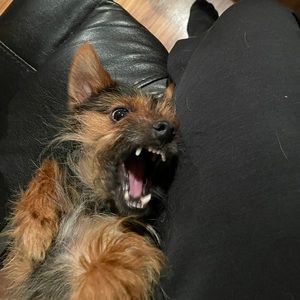 Meet your Posher, Christopher